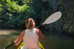 Aventura de caiaque: uma escapadela de 2 horas na vida selvagem