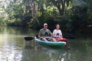 Aventura de caiaque: uma escapadela de 2 horas na vida selvagem