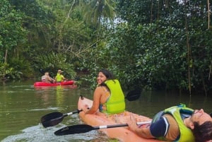 Aventura de caiaque: uma escapadela de 2 horas na vida selvagem