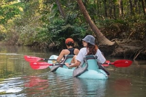 Quepos: Kayak Tour in the Mangroves Near Manuel Antonio Park