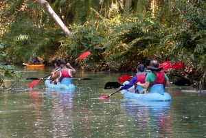 Quepos: Kayak Tour in the Mangroves Near Manuel Antonio Park