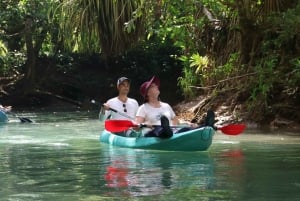 Quepos: Kayak Tour in the Mangroves Near Manuel Antonio Park