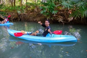 Quepos: Kayak Tour in the Mangroves Near Manuel Antonio Park