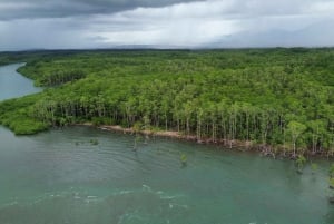 Quepos: Kayak Tour in the Mangroves Near Manuel Antonio Park