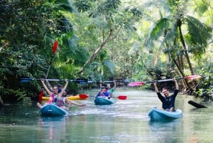 Quepos: Kayak Tour in the Mangroves Near Manuel Antonio Park