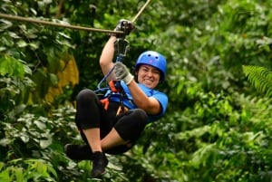 La Fortuna: 12 Canopy Zip Lines en boswandeling met gids