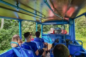 La Fortuna: 12 Canopy Zip Lines en boswandeling met gids