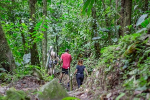 La Fortuna: 12 tirolinas y paseo guiado por el bosque