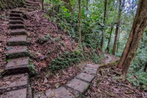 La Fortuna: 12 tirolinas y paseo guiado por el bosque