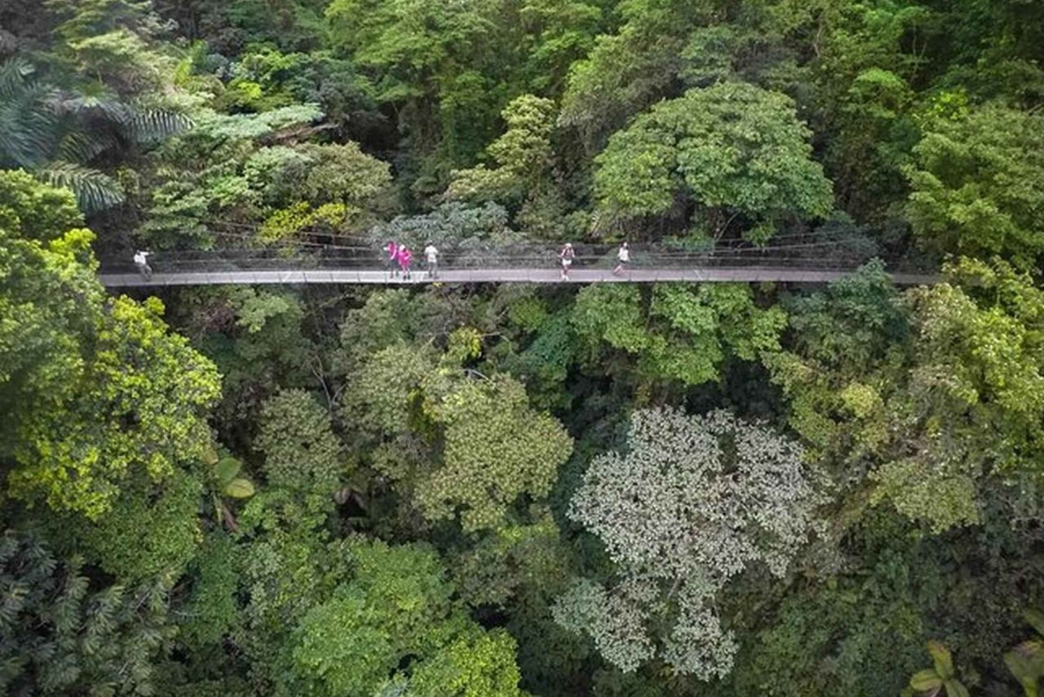 Halve dagtour met hangbruggen en La Fortuna-waterval