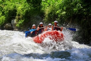 La Fortuna: Arenal Balsa River klasse 2 en 3 wildwaterraften