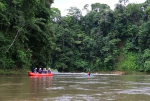 La Fortuna: Rafting no rio Arenal Balsa, classe 2 e 3