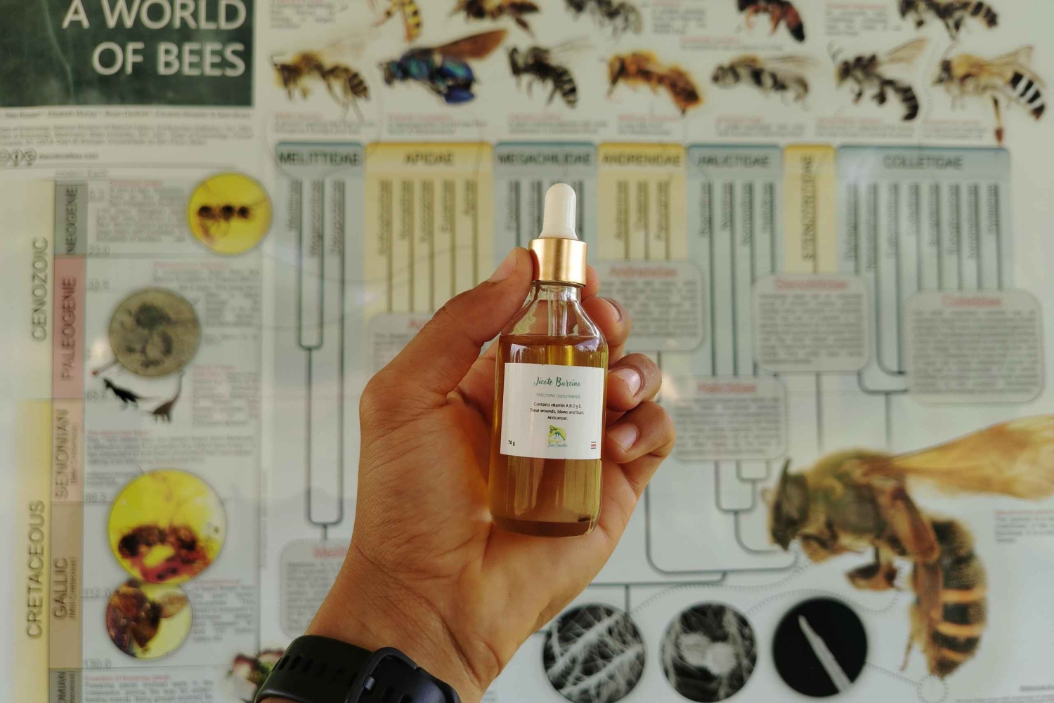 La Fortuna: Rundvisning i Arenal-bihaven