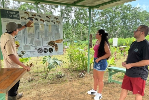 La Fortuna: Rundvisning i Arenal-bihaven