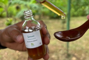 La Fortuna: Rundvisning i Arenal-bihaven