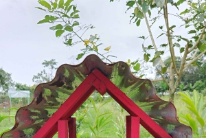 La Fortuna: Rundvisning i Arenal-bihaven