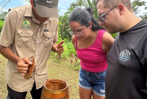 La Fortuna: Rundvisning i Arenal-bihaven