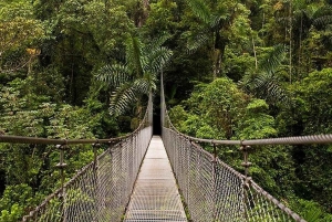 La Fortuna: Arenal Combo Hanging Bridges, Waterfall, Volcano