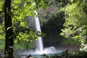 La Fortuna: Arenal Combo Hanging Bridges, Waterfall, Volcano