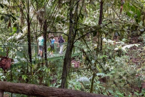 La Fortuna: Arenal Hanging Bridges Hiking Tour
