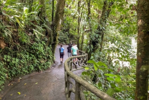 La Fortuna: Arenal Hanging Bridges Vandringstur