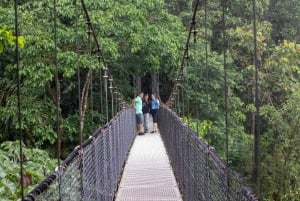 La Fortuna: Arenal Hanging Bridges Vandringstur