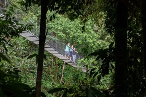 La Fortuna: tour de senderismo por los puentes colgantes del Arenal