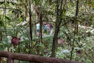 La Fortuna: Arenal Hanging Bridges -vaelluskierros