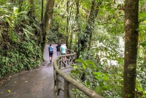 La Fortuna: Arenal Hanging Bridges -vaelluskierros
