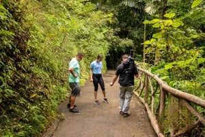 La Fortuna: Arenal Hanging Bridges -vaelluskierros