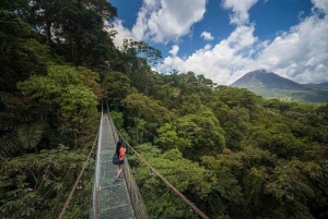La Fortuna: Wycieczka po wiszących mostach Arenal