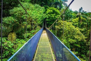 La Fortuna: Arenal Hangende Bruggen Tour