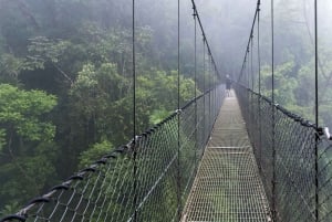 La Fortuna: Arenal-tur till hängande broar