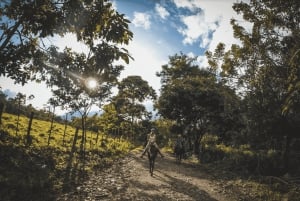 La Fortuna: Arenal-ridning til La Fortuna-fossen på hesteryggen