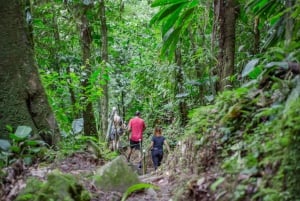 La Fortuna: Arenal Mundo Aventura Fågelskådningstur