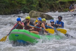 La Fortuna: Arenal Rafting Upper Balsa Klass 3 och 4 forsar