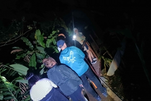 La Fortuna Arenal : randonnée nocturne dans la forêt tropicale .