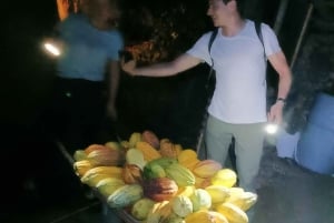 La Fortuna Arenal: Caminhada noturna na floresta tropical .