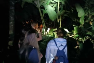 La Fortuna Arenal : randonnée nocturne dans la forêt tropicale .