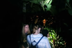 La Fortuna Arenal : Nachtelijke trektocht door het regenwoud .