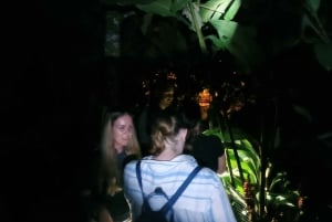 NIGHT WALK GOOD PLACE TO SEE SLOTH AND FLORA AND FAUNA