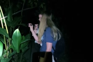 La Fortuna Arenal : randonnée nocturne dans la forêt tropicale .