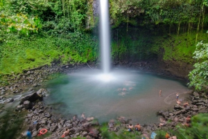 La Fortuna: Arenal Volcano and Waterfall Tour with Lunch
