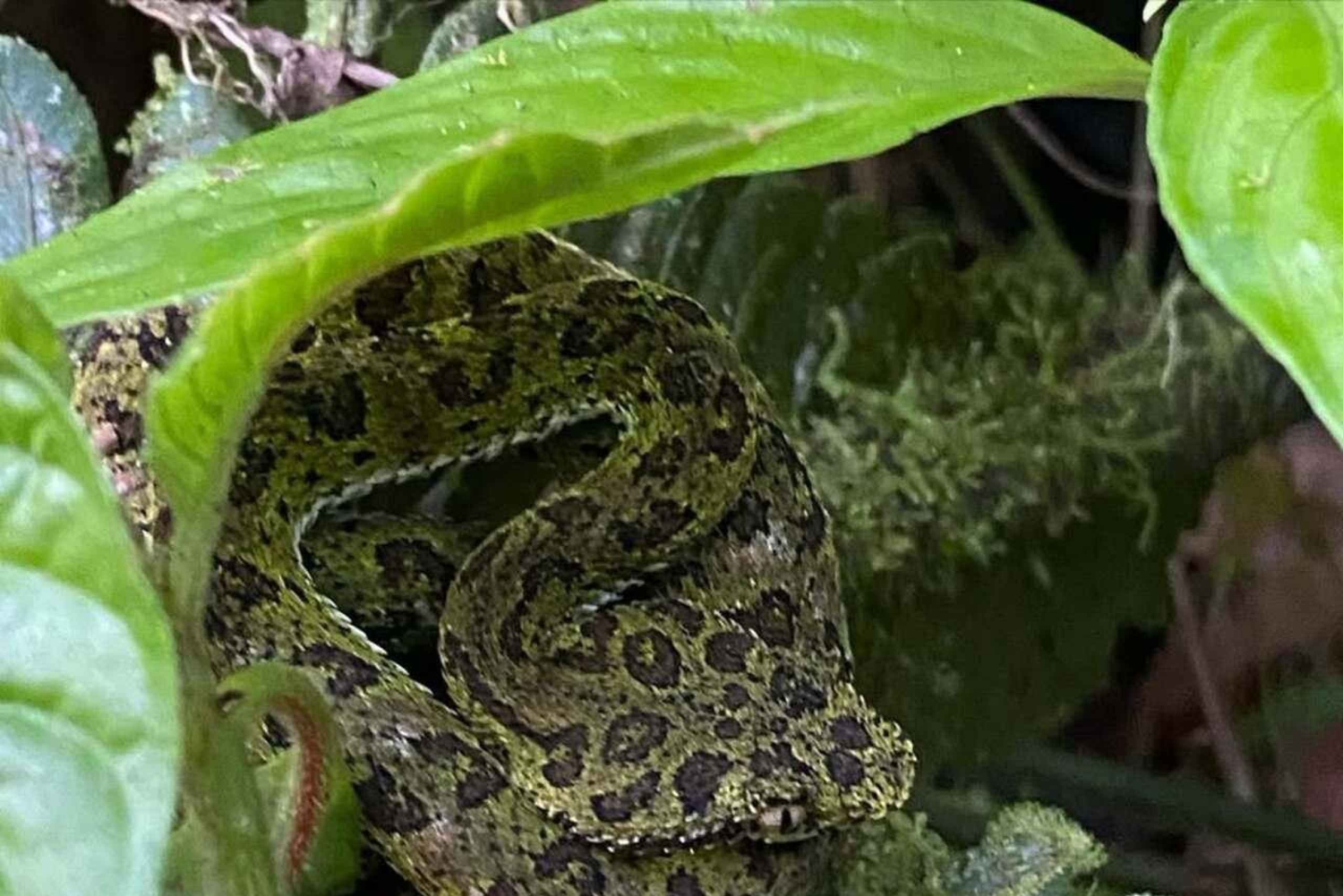La Fortuna: Arenal Volcano Ecological Park Entry Ticket