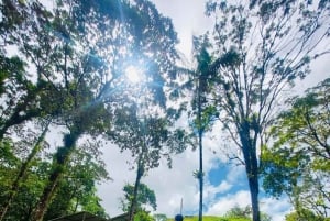La Fortuna: Arenal Volcano Ecological Park Entry Ticket