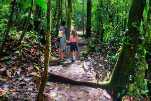 La Fortuna: Arenal Volcano Ecological Park Entry Ticket