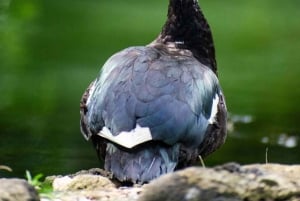 La Fortuna: Arenal Volcano Ecological Park Entry Ticket