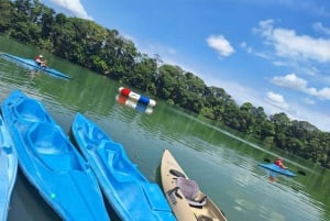 La Fortuna: Arenal Volcano Ecological Park Entry Ticket