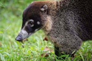 La Fortuna: Arenal Volcano Ecological Park Entry Ticket