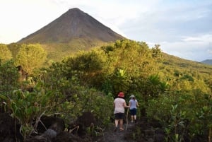 La Fortuna: Arenal Volcano National Park 3 Hours Guided Hike